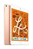 Apple iPad Mini 5 64Go 4G - Or - Débloqué (Reconditionné)