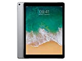 Apple iPad Pro 10.5 64Go 4G - Gris Sidéral - Débloqué (Reconditionné)