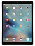 Apple iPad Pro 9.7 32Go 4G - Gris Sidéral - Débloqué (Reconditionné)