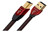 AudioQuest Cinnamon USB A > B - Câble USB A vers B de 5 m