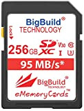 BigBuild Technology Carte mémoire UHS-I U3 256 Go 95 Mo/s pour appareil photo Panasonic Lumix DMC FT30, FT30EF A, FT30EF ...