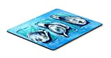 Caroline S Treasures huîtres Oyster + Oyster = huîtres Mouse Pad/Hot Pad/Dessous de Plat (Mw1110mp)