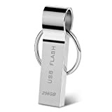 Clé USB 256 Go USB 3.0 256 Go étanche Memory Stick en métal Stockage de données Clé USB avec Porte-clés ...