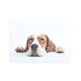 Compatible avec Macbook Air 13 2021/2020/2019/2018 Laptop Sleeve Bag Beagle Head Isolated Ona White Picture Id925736986 Cute Laptop Sleeve