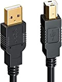 deleyCON 10m Câble USB Actif pour Imprimante Câble pour Scanner Câble de Données USB 2.0 Prise A vers Prise B ...