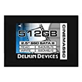 Delkin Cinema 6,3 cm de 512 Go SSD SATA III – Noir