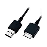 DHERIGTECH Câble USB et chargeur de batterie pour lecteur MP3/MP4 Sony Walkman NW-A805/NW-A806