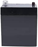 Eaton - Batterie de Remplacement pour Onduleur Eaton 3S550FR/3S550IEC/66942 (Protection Station 500FR) - Noir