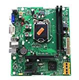 Fujitsu Siemens D2990-A21 GS1 Carte mère Intel H61 Micro ATX Socket 1155