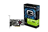 Gainward 426018336-4085 Carte Graphique NVIDIA GeForce GT 1030 2 Go GDDR4
