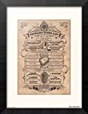 GB eye HARRY POTTER - Poudlard Liste Scolaire - Collector Print '30x40cm'