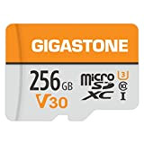 Gigastone Carte Mémoire 256 Go Compatible avec Gopro Caméra Drone Samsung Tablette, Haute Vitesse de Lecture 100 Mo/s idéal pour ...