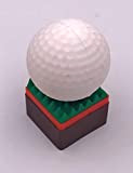 H-Customs Balle de Golf Balle de Sport Golf Clé USB de Golf 8 Go