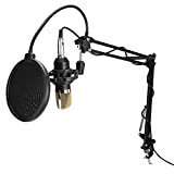 Kit de microphone d'enregistrement, faible bruit de fond, pliable, facile à transporter, kit de microphone à condensateur, bruit du vent ...
