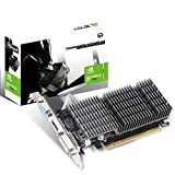 MAXSUN Carte Graphique Externe GeForce GT710 1 Go (64 bit VGA, DVI-D, HDMI, Profil Bas prêt PCI Express Graphics Card)