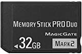 Memory Stick Pro DUO Mark2 32 Go Memory Card Thumb Drive Flash Drive Bulk Fit pour PSP 1000/2000/3000