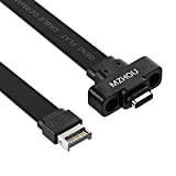 MZHOU Câble USB 3.1 Gen 2 10G interne A vers bouton de Charge rapide USB C, adaptateur d'extension de panneau ...