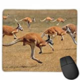 N\A Tapis de Souris Lisse exécutant Kangaroo Mobile Gaming Mousepad Work Mouse Pad Office Pad
