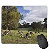 N\A Tapis de Souris Lisse Forest Kangaroo Mobile Gaming Mousepad Work Mouse Pad Office Pad