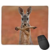 N\A Tapis de Souris Lisse Funny Kangaroo Mobile Gaming Mousepad Work Mouse Pad Office Pad