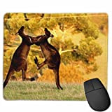 N\A Tapis de Souris Lisse Kangaroo Fight Mobile Gaming Mousepad Work Mouse Pad Office Pad