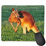 N\A Tapis de Souris Lisse Nature Kangaroo Mobile Gaming Mousepad Work Mouse Pad Office Pad