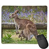 NA Tapis de Souris Lisse Kangaroo Mom and Baby Mobile Gaming Mousepad Work Mouse Pad Office Pad