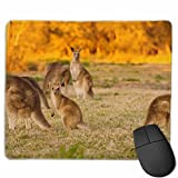 NA Tapis de Souris Lisse, Tapis de Souris de Jeu Mobile Nature Kangaroo Work Pad de Bureau