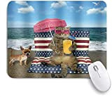 Pays de souris de jeu, chat drôle porter des lunettes de soleil Summer océan Beach Holiday Jus d'Orange Jus d'animaux ...