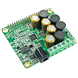 RPI HiFi AMP HAT TAS5713 Amplifier Audio Module 25W Class-D Power Sound Card Expansion Board for Raspberry Pi 4 3 ...