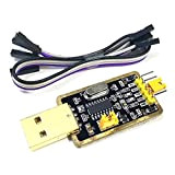 Rtinle Adaptateur USB UART-TTL 3.3V 5V CH340G Module de Conversion d'interface et 20cm Jumper Cable, Compatible avec Arduino