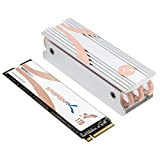 SABRENT SSD Interne Rocket Q4 NVMe PCIe 4.0 M.2 2280 de 1TB. Solid State Drive à Performance maximale avec dissipateur ...