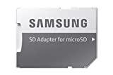 Samsung Carte Micro SD 256 GB avec Adaptateur
