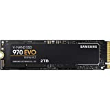Samsung SSD Interne 970 EVO NVMe M.2 (2TB) - MZ-V7E2T0BW
