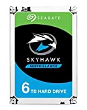 Seagate Surv. Skyhawk 6To HDD