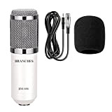 SHANG-JUN BM-800 Microphone de condensateur Professionnel BM800 Kit: Microphone pour Ordinateur + Montage de Choc + Capuchon en Mousse + ...
