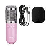 SHANG-JUN BM-800 Microphone de condensateur Professionnel BM800 Kit: Microphone pour Ordinateur + Montage de Choc + Capuchon en Mousse + ...