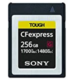Sony CEB-G256/J SYM Carte mémoire Ultra Rapide 256 Go