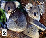Speedlink Terra WWF Tapis de Souris - Doux pour Toutes Les Souris, Koala