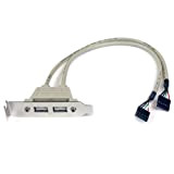 StarTech.com Equerre USB 2 ports - Adaptateur Slot USB - Faible Encombrement (LP) Adaptateur Carte Mère vers Plaque 2 Ports ...