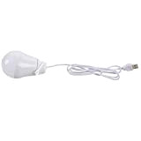 Summerwindy DC5V 5W Ampoule LED USB Lampe Portable Lumiere Blanche pour Ordinateur Portable Exterieure(blanc)