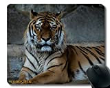 Tapis de souris de jeu personnalisé Tigre Predator Muselière Big Cat 117179 Base en caoutchouc antidérapante