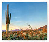 Tapis de Souris Saguaro, Soleil se Couche dans Le désert Prickly Pear Cactus Southwest Texas National Park, Tapis de Souris ...