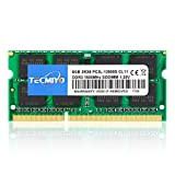 TECMIYO 8Go DDR3L-1600 SODIMM PC3L 12800S 8Go DDR3L 1600MHz 8GB PC3 12800S 204-Pin CL11 1.35V d'ordinateur Portable Mémoire RAM