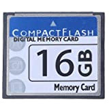Woodpool Professional Carte mémoire flash compacte 16 Go