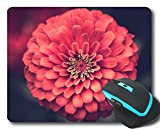 YENDOSTEEN Anti-Fray Tissu Paming Mouse Pad, Cauflower Carrot Vegetables Gaming Gaming Mouse 220 * 180 * 3 mm