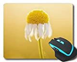 YENDOSTEEN Gaming Mouse Pad Custom, White Daisy Flower Photography Office Mouse Pad 220 * 180 * 3 mm