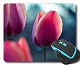 YENDOSTEEN Gaming Mouse Pad Custom, White Snowdrops Fleurs After Rain Now Slip Rubber Base Mousepad 300 * 250 * 3 ...