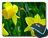 YENDOSTEEN Gaming Mouse Pad personnalisé, Fleurs Jaunes Daffodil Petals Mouse Pousquets avec Bords Cousus 220 * 180 * 3 mm