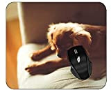 Yendosteen Mouse Pad Anti-Slip, MOG Motion Dog Motion MATING Mate Pad avec Bords Cousus 220x180x3 mm